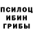 Псилоцибиновые грибы Magic Shrooms Vardges Gharibyan