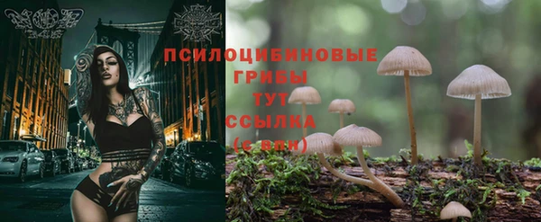прущий лед Абинск