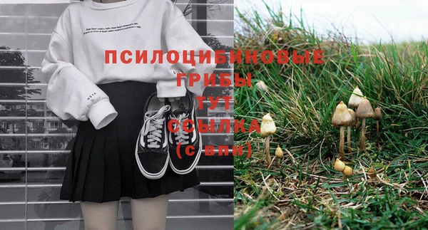 гашик Абдулино